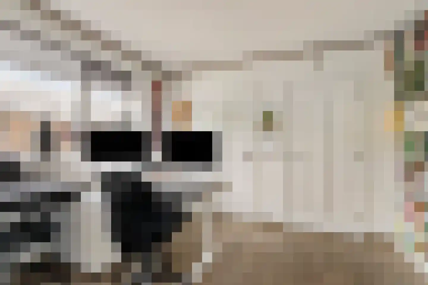 Polstraat 40 Didam thumbnail 17
