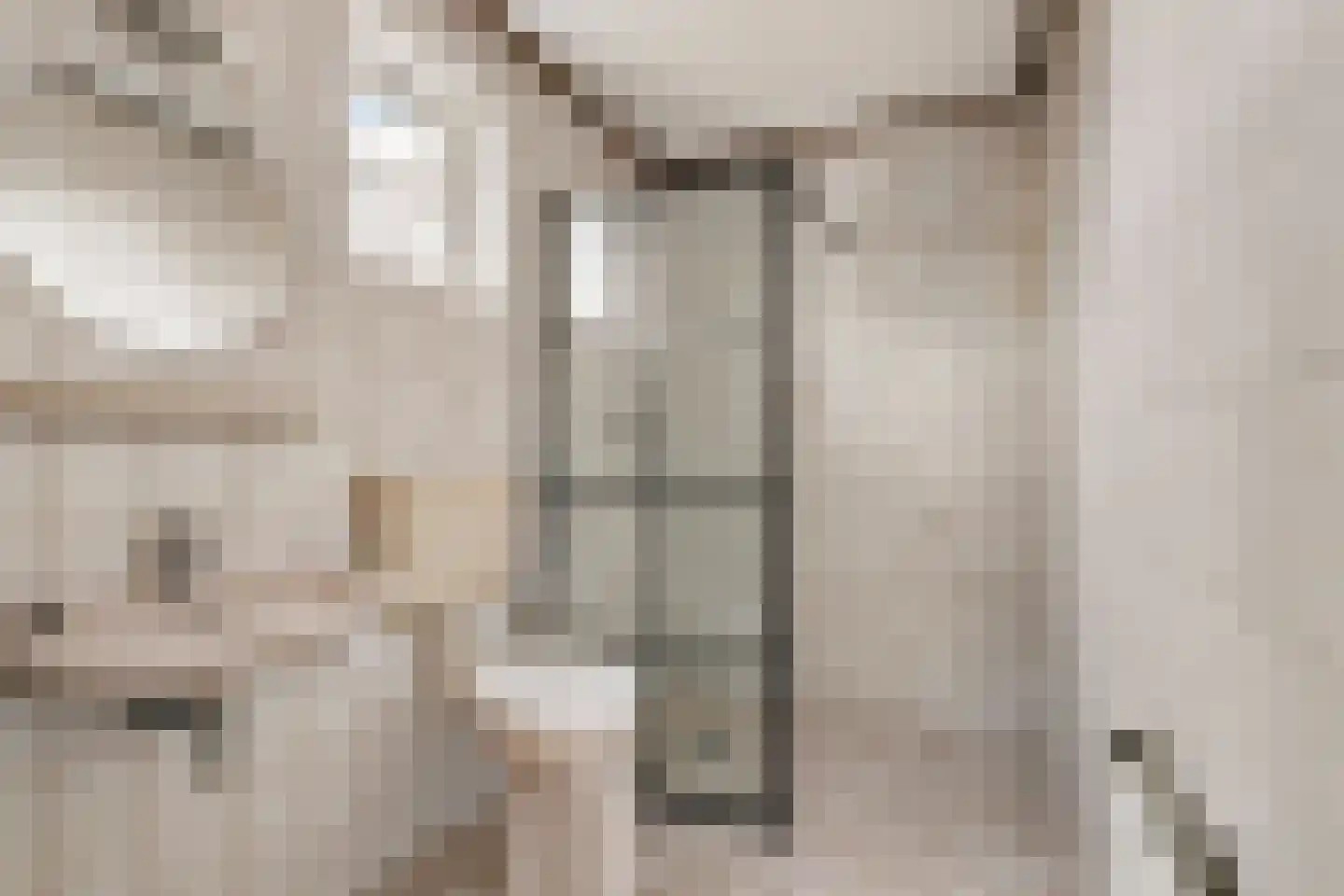 Polstraat 40 Didam thumbnail 18