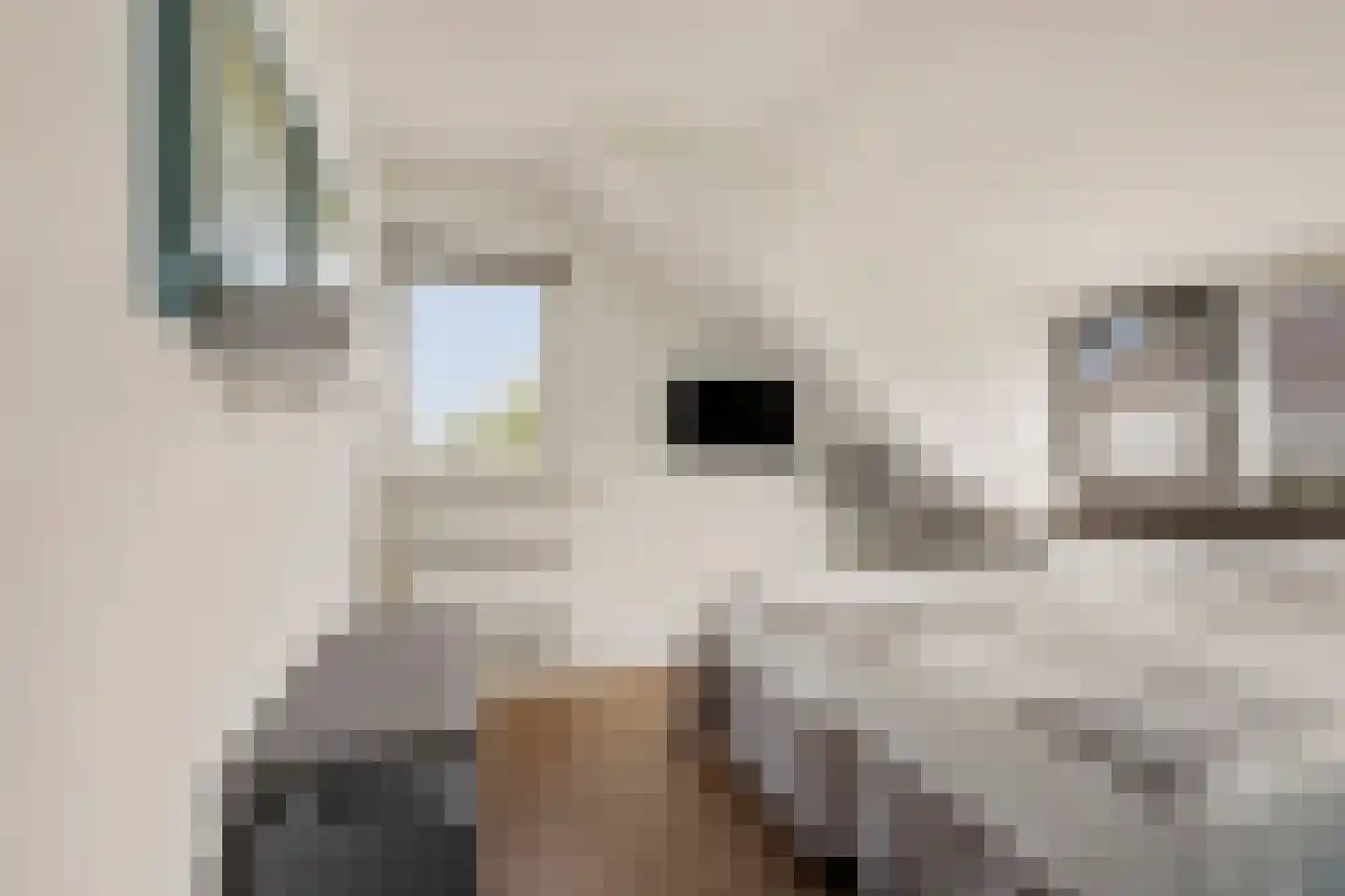 Polstraat 40 Didam thumbnail 21