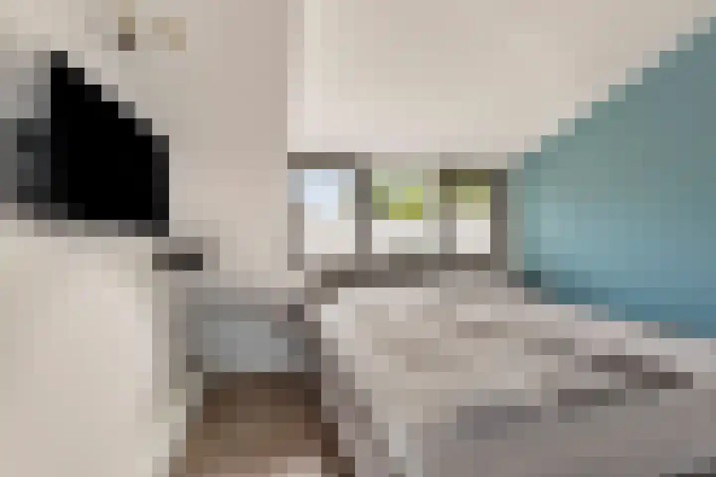 Polstraat 40 Didam thumbnail 22