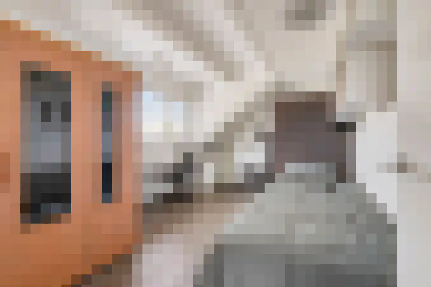 Polstraat 40 Didam thumbnail 24