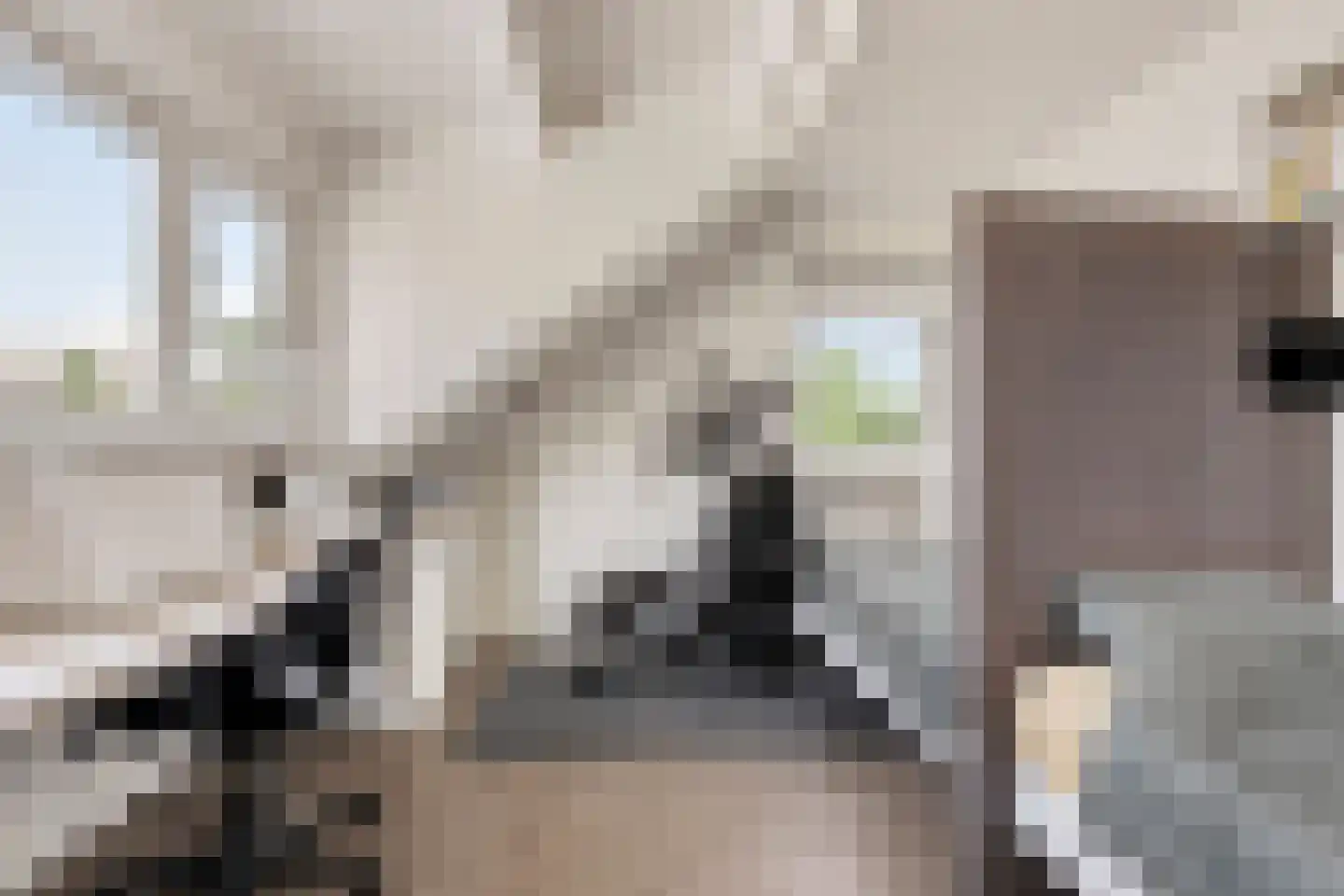 Polstraat 40 Didam thumbnail 25