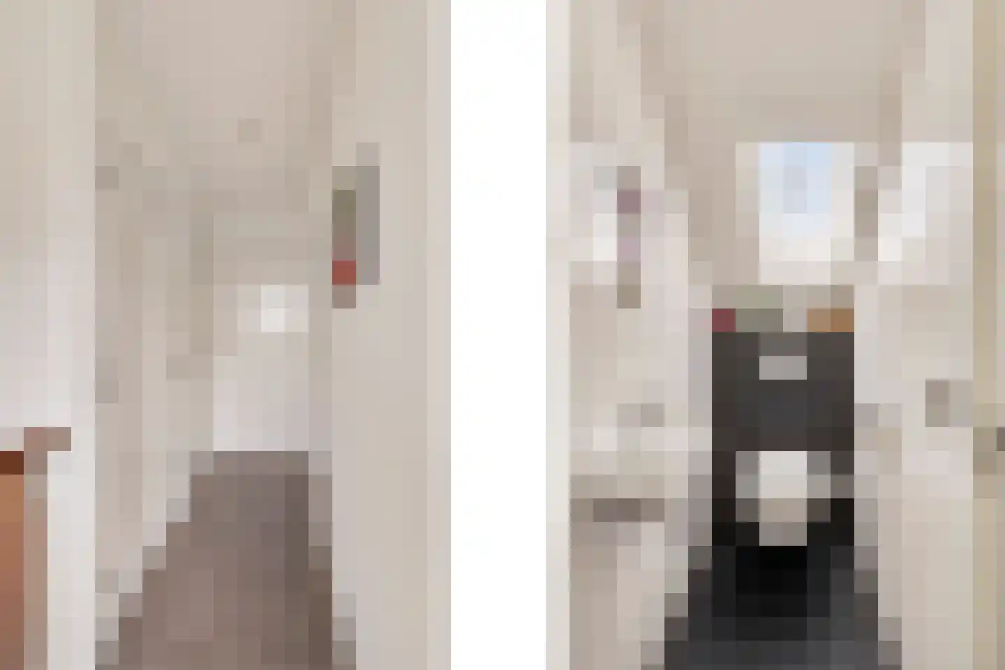 Polstraat 40 Didam thumbnail 30