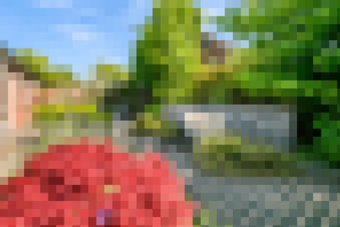Polstraat 40 Didam thumbnail 31