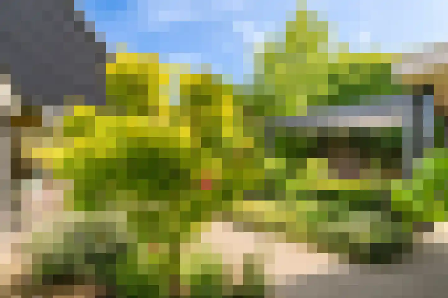 Polstraat 40 Didam thumbnail 33