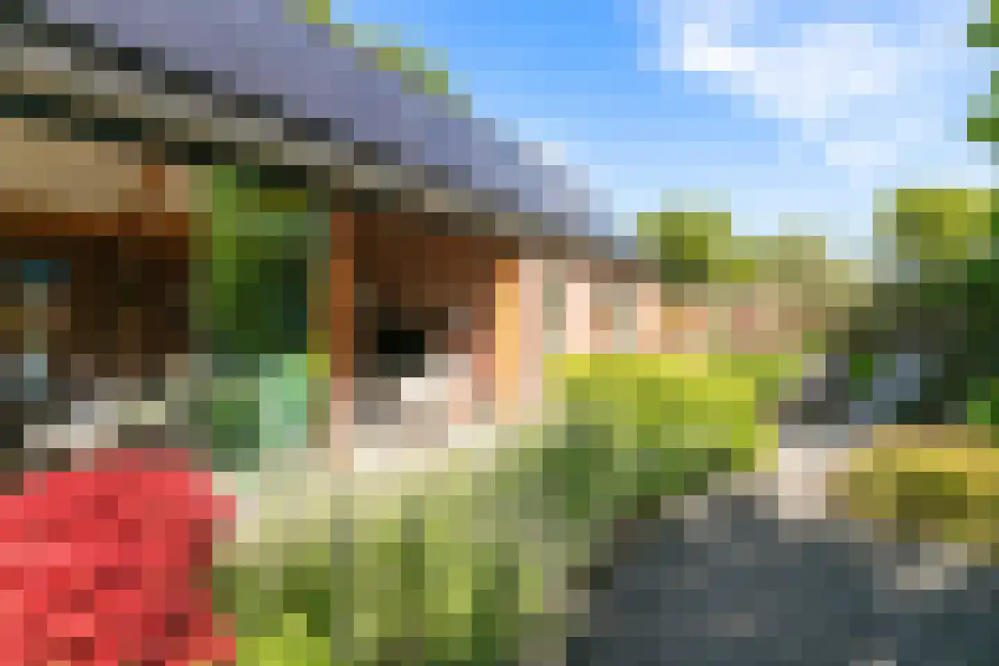 Polstraat 40 Didam thumbnail 34