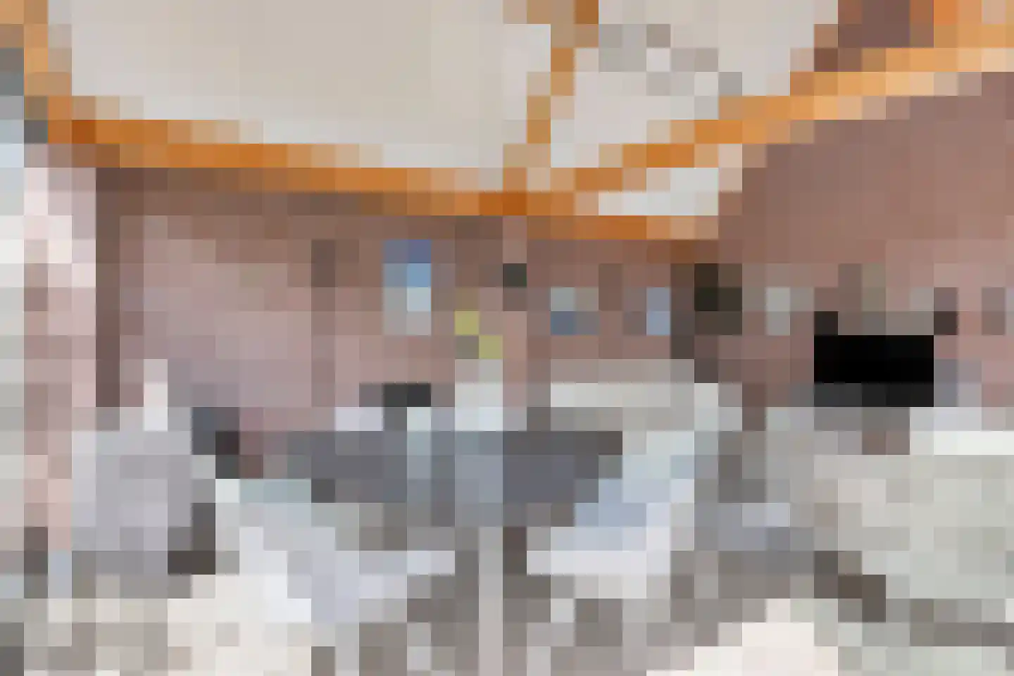 Polstraat 40 Didam thumbnail 35