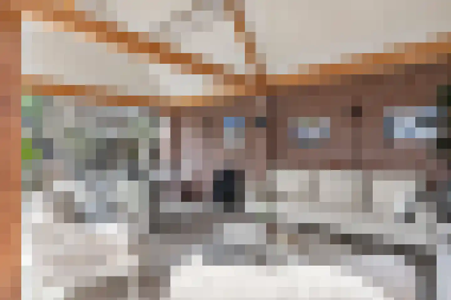 Polstraat 40 Didam thumbnail 37
