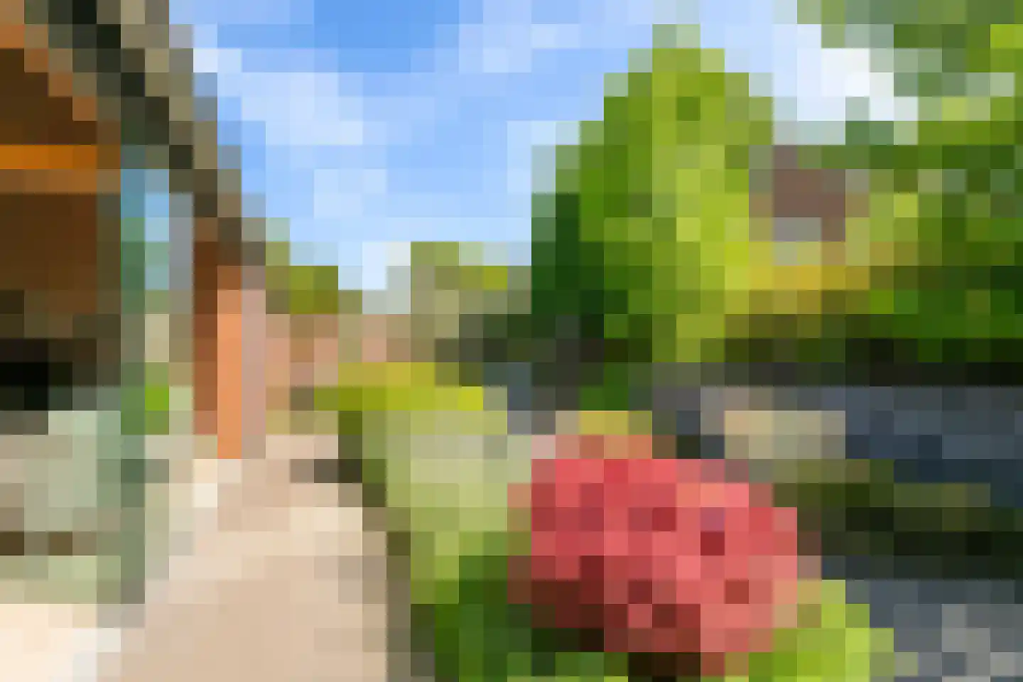 Polstraat 40 Didam thumbnail 38