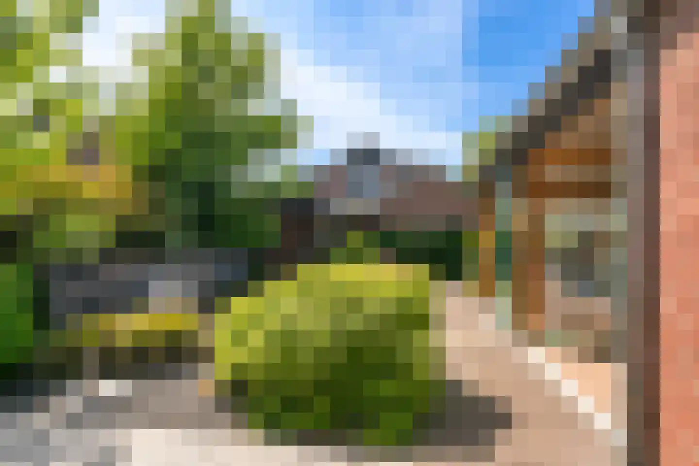 Polstraat 40 Didam thumbnail 42