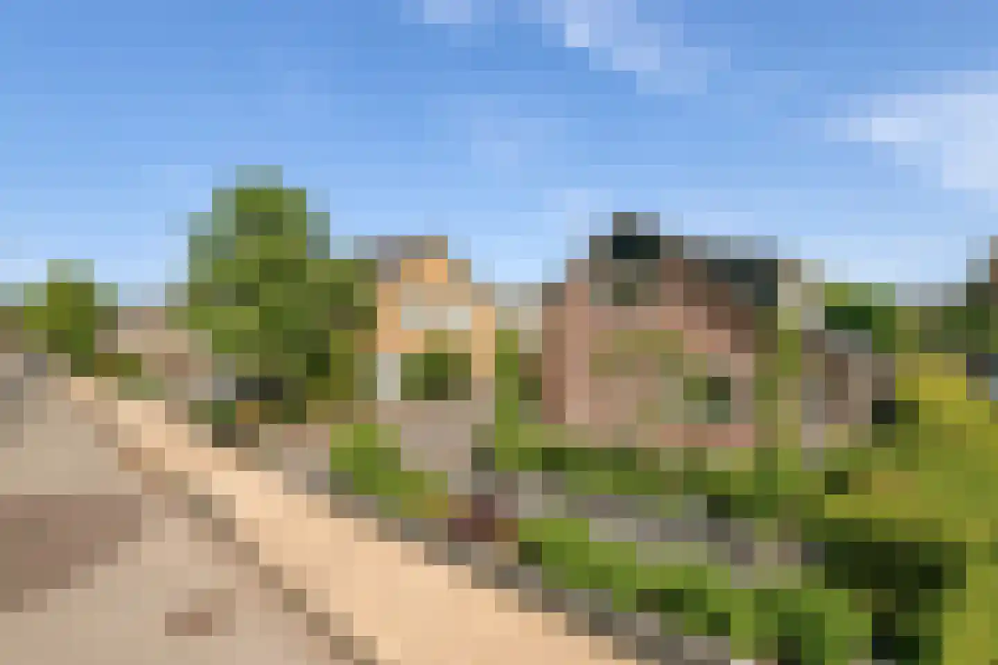 Polstraat 40 Didam thumbnail 44