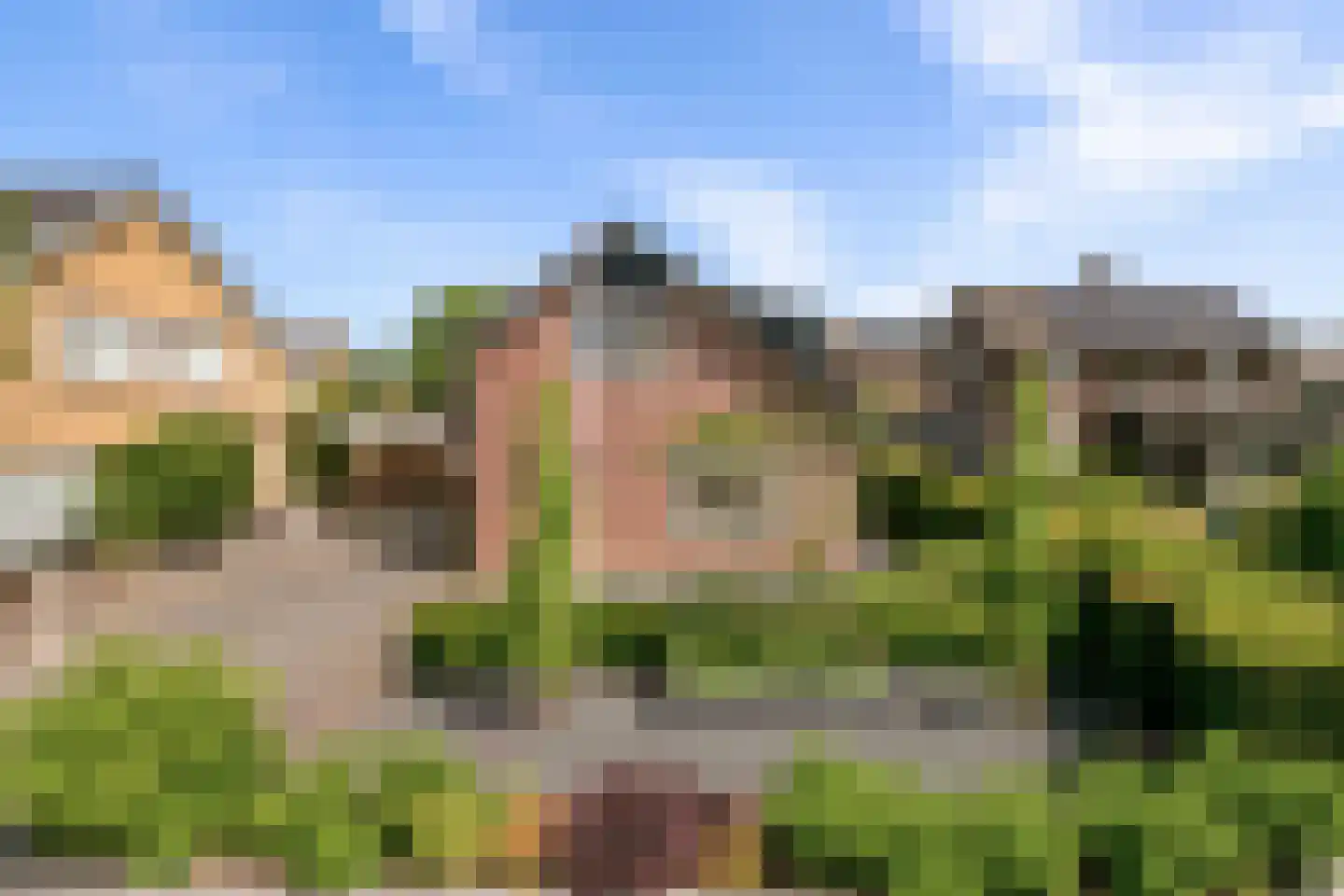 Polstraat 40 Didam thumbnail 45