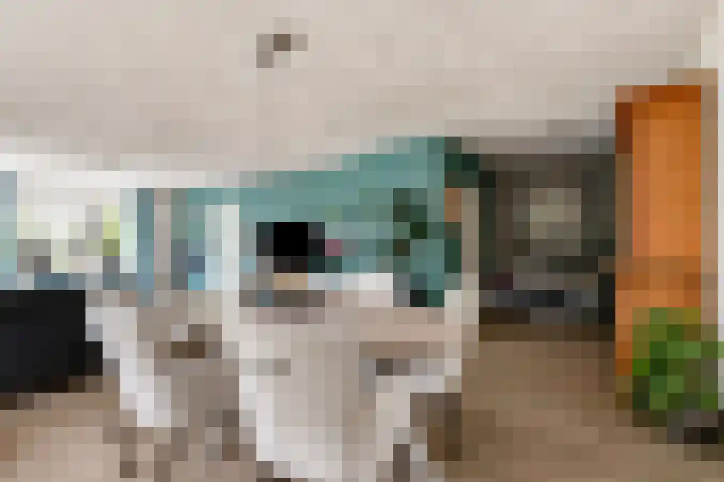 Polstraat 40 Didam thumbnail 8