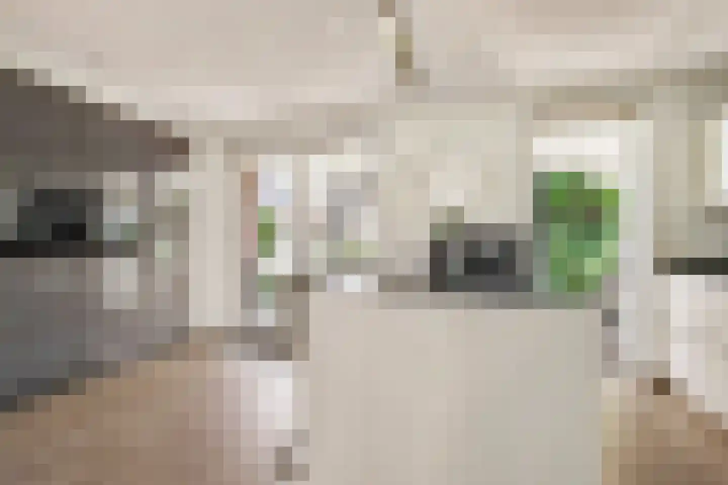 Polstraat 40 Didam thumbnail 9
