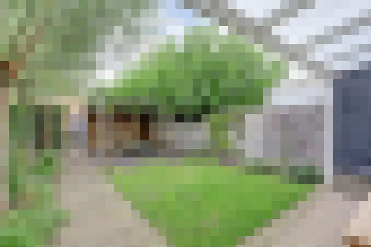 Polstraat 41 Wijk en Aalburg thumbnail 4