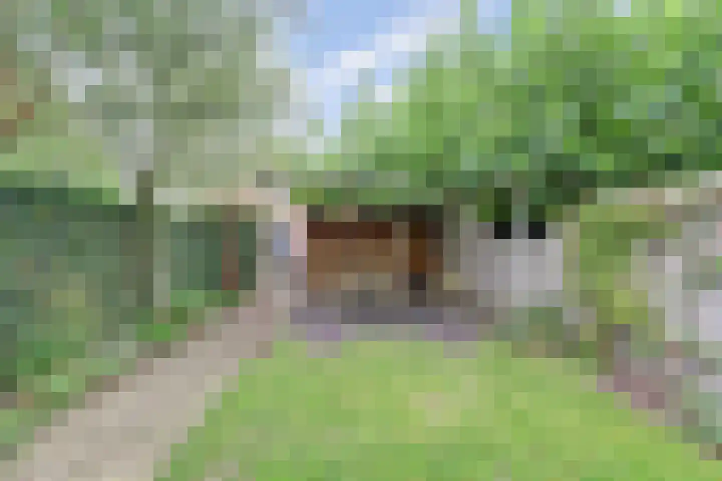 Polstraat 41 Wijk en Aalburg thumbnail 41