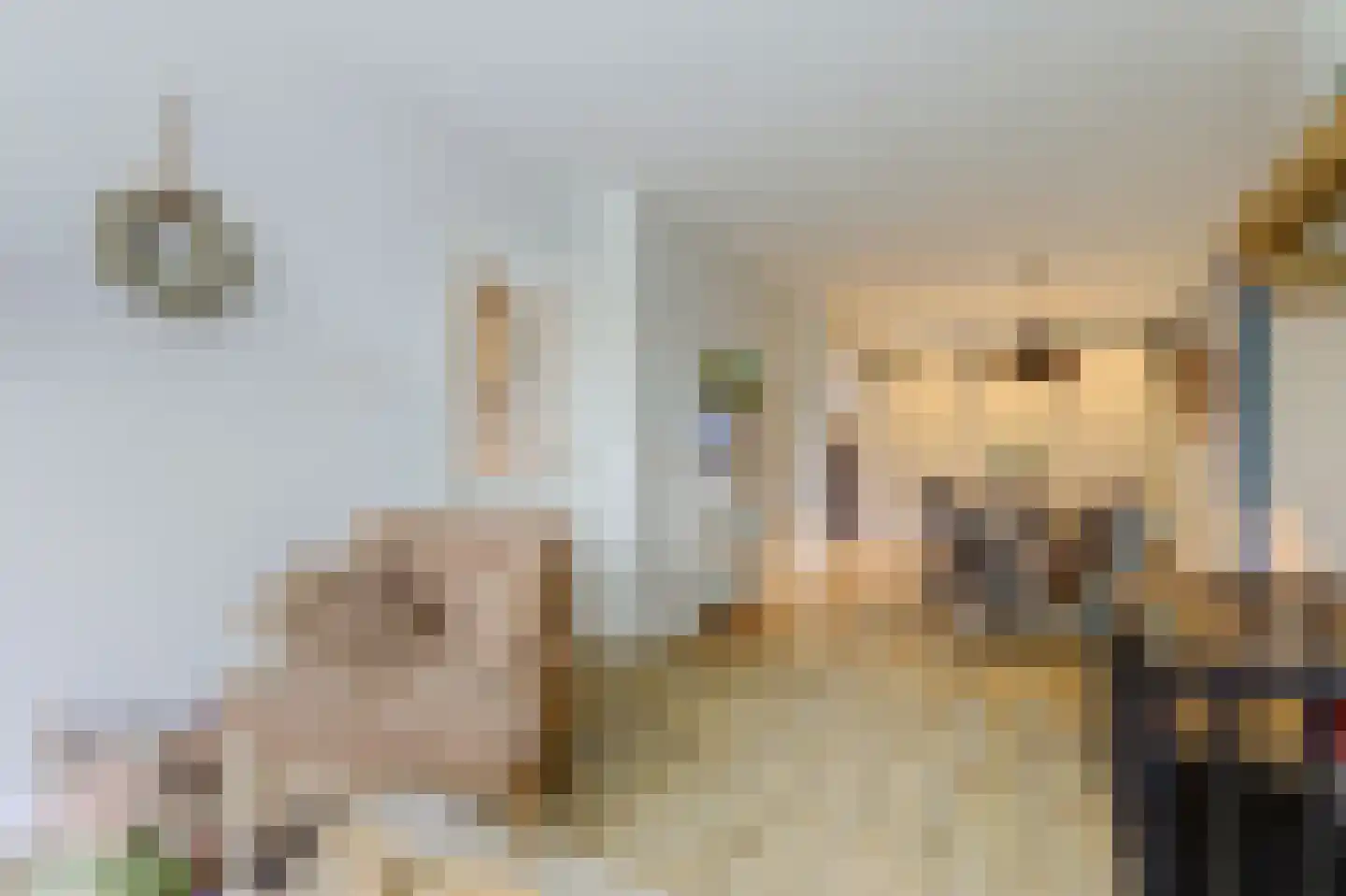Polstraat 41 Wijk en Aalburg thumbnail 7