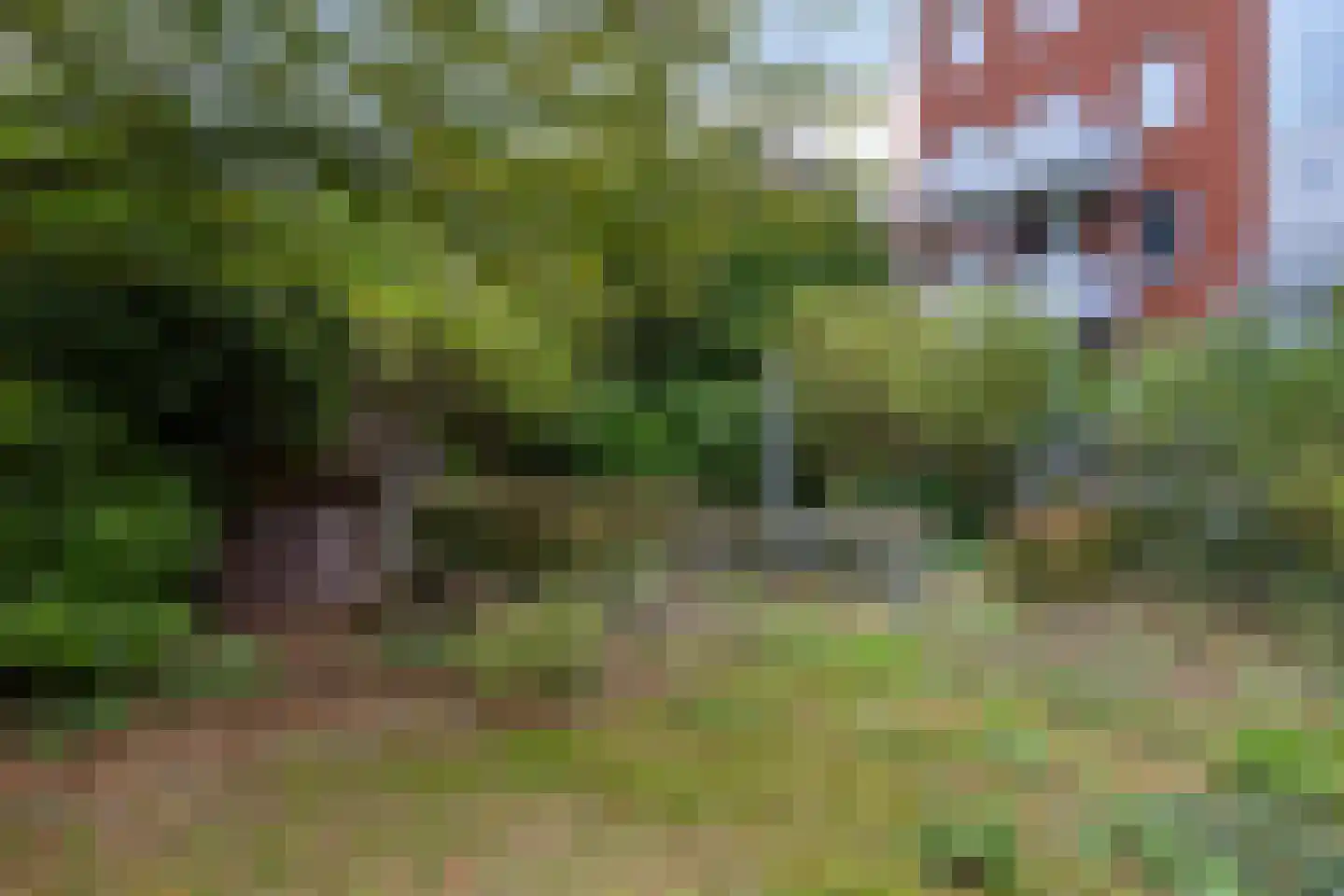 Polstraat 67 F 1 Deventer thumbnail 31