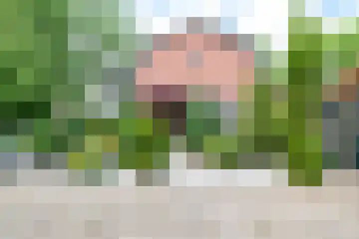 Polstraat 7 Apeldoorn thumbnail 5