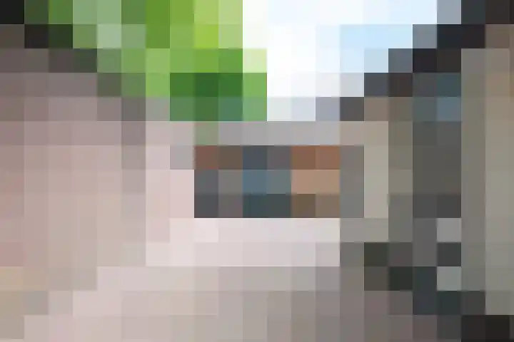 Polstraat 7 Apeldoorn thumbnail 7
