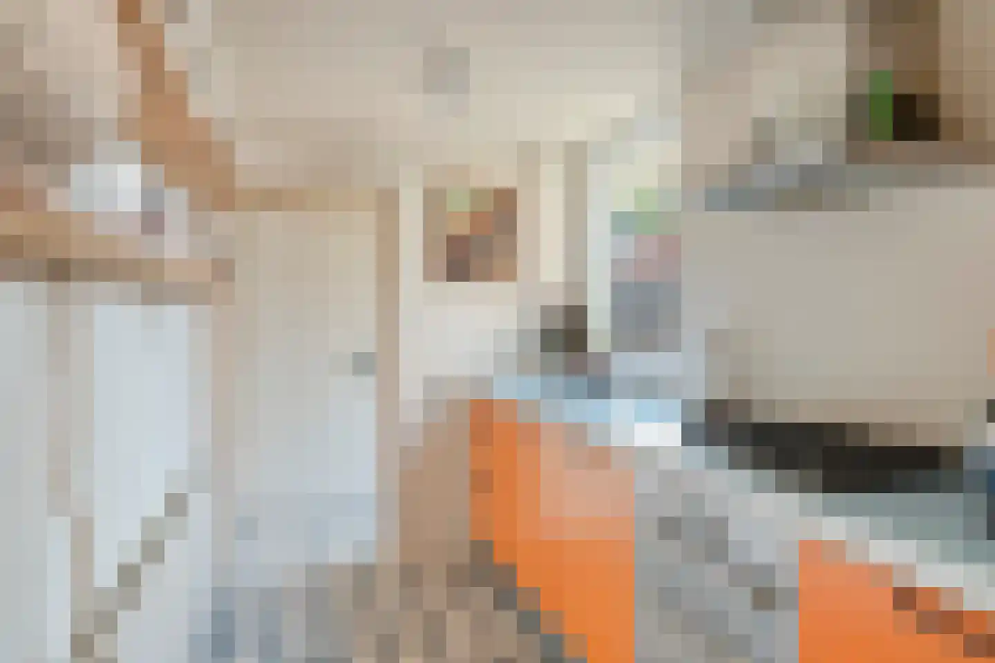 Polstraat 7 Bunschoten-Spakenburg thumbnail 12