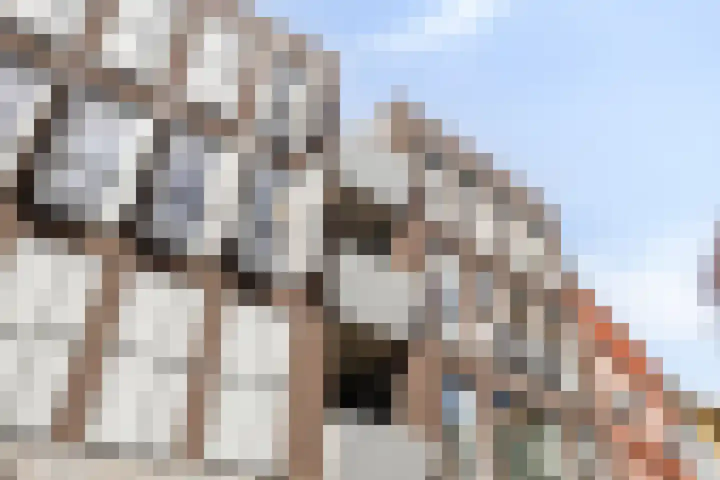 Polstraat 73 F 6 Deventer thumbnail 35
