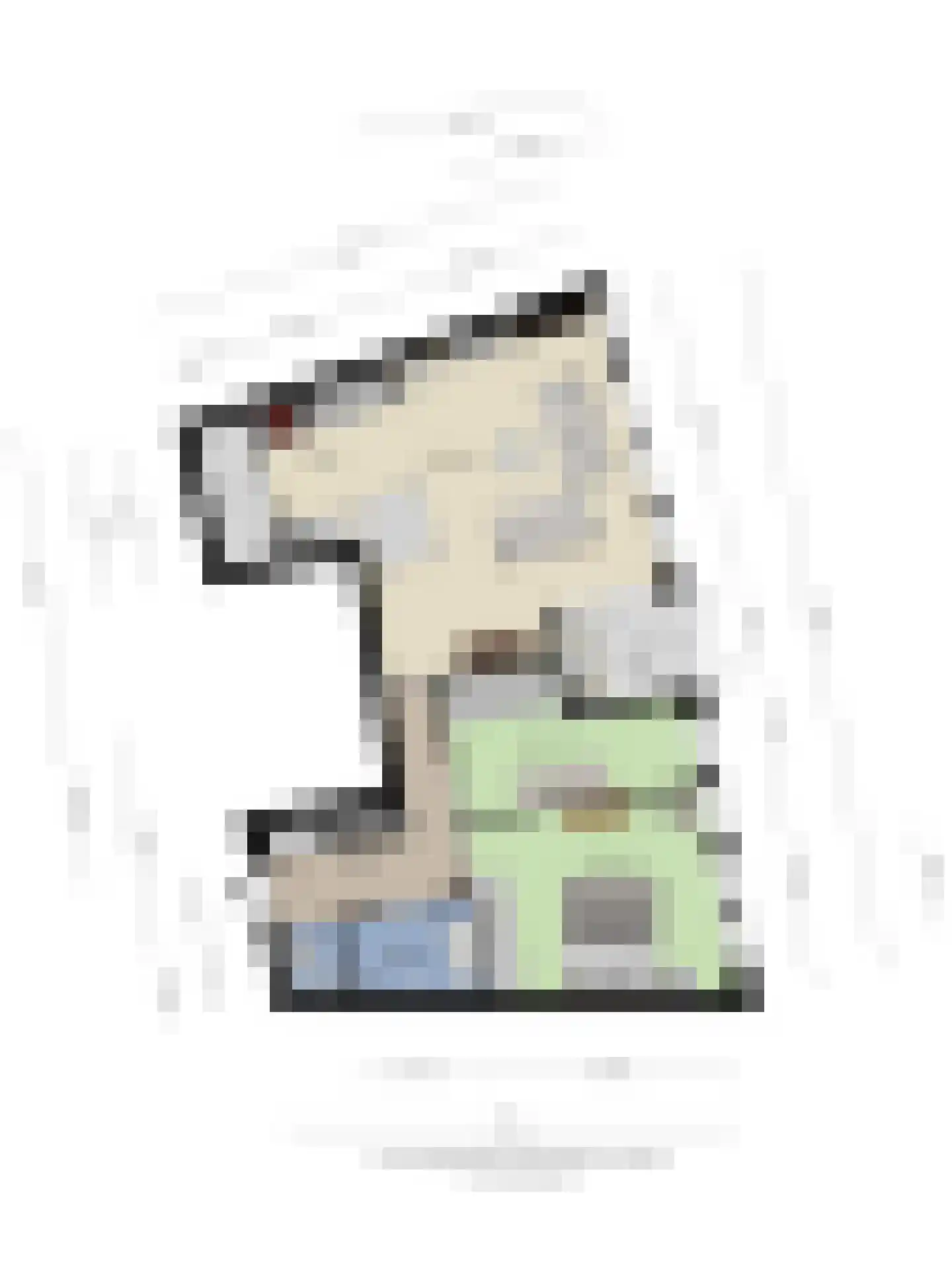 Polstraat 73 F 6 Deventer thumbnail 41