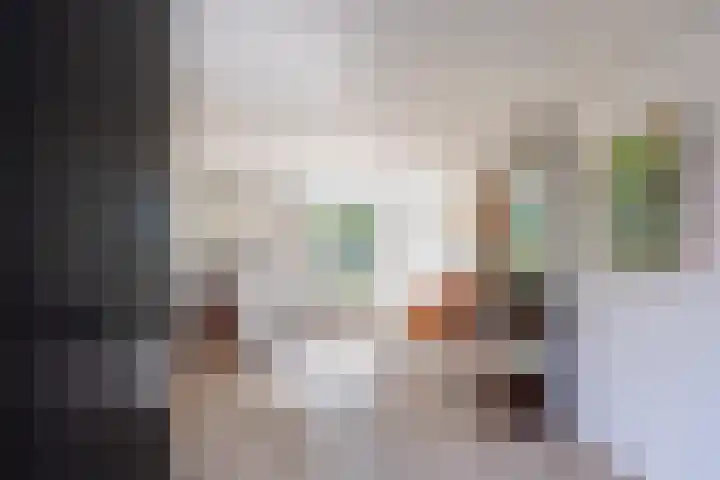 Polveensweg 15 Klarenbeek thumbnail 10