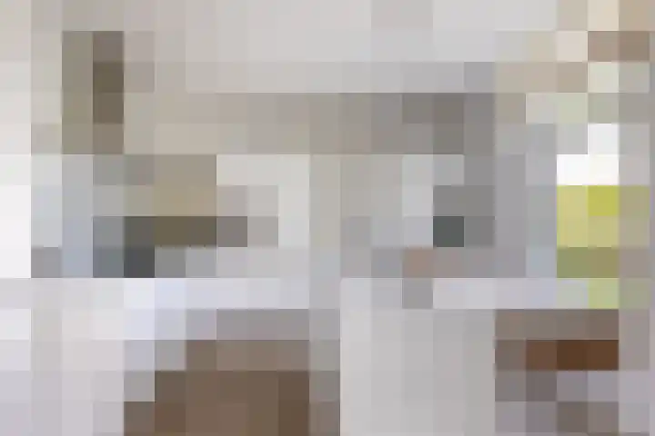 Polveensweg 15 Klarenbeek thumbnail 13