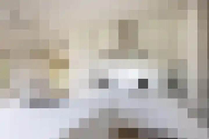 Polveensweg 15 Klarenbeek thumbnail 14