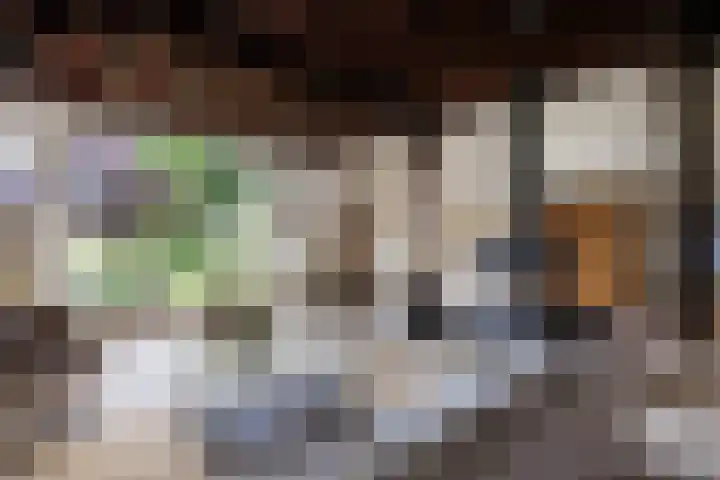 Polveensweg 15 Klarenbeek thumbnail 4