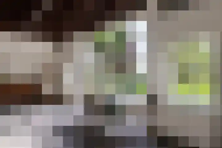 Polveensweg 15 Klarenbeek thumbnail 40