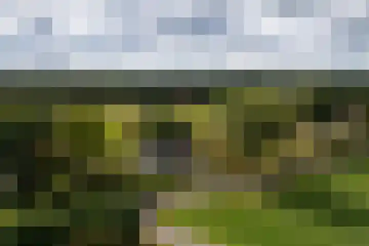 Polveensweg 15 Klarenbeek thumbnail 56