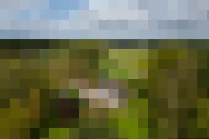 Polveensweg 15 Klarenbeek thumbnail 57