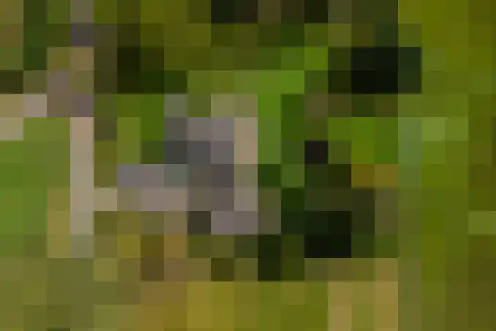 Polveensweg 15 Klarenbeek thumbnail 58
