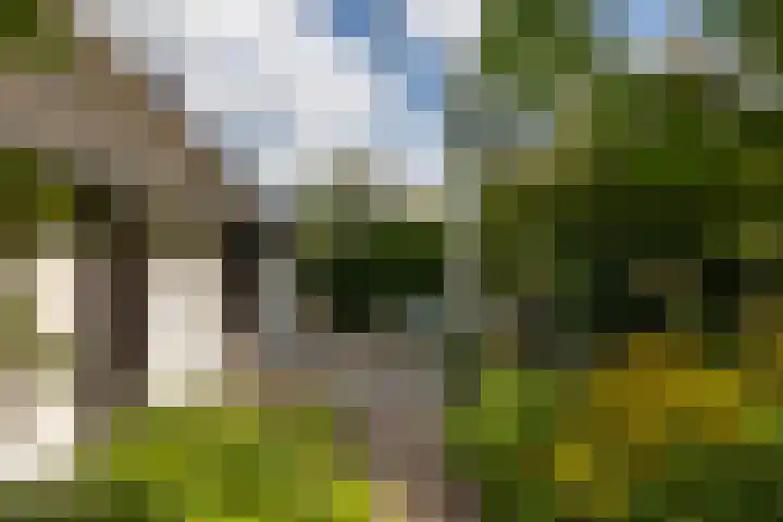 Polveensweg 15 Klarenbeek thumbnail 60