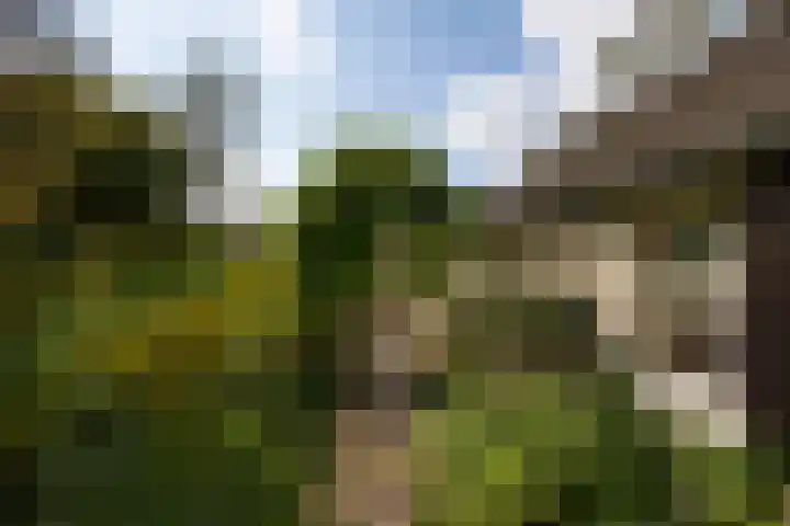 Polveensweg 15 Klarenbeek thumbnail 61
