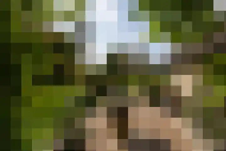 Polveensweg 15 Klarenbeek thumbnail 62