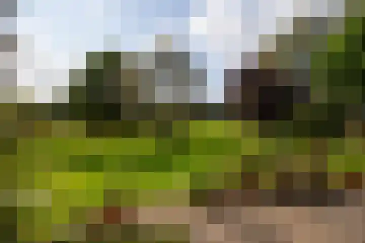 Polveensweg 15 Klarenbeek thumbnail 63