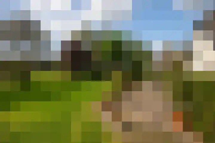 Polveensweg 15 Klarenbeek thumbnail 64