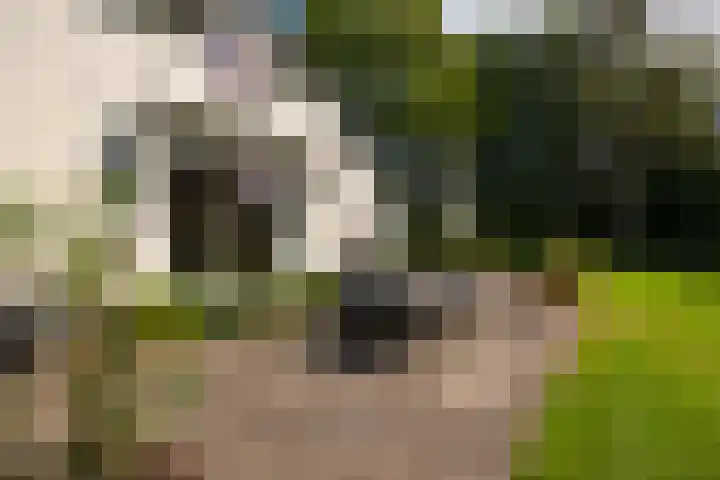 Polveensweg 15 Klarenbeek thumbnail 67