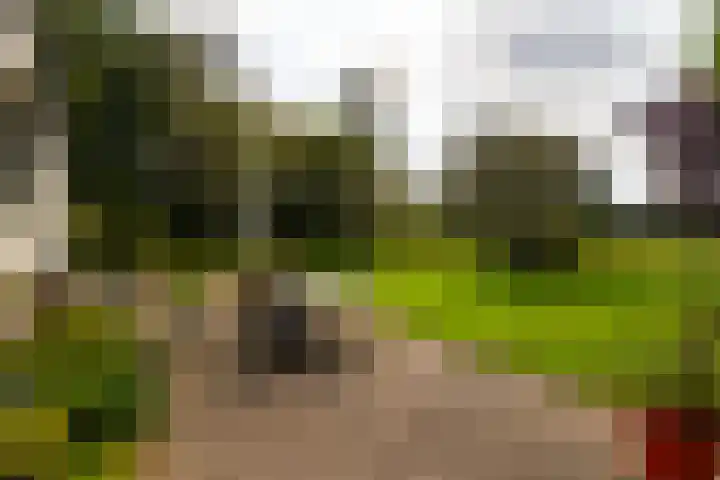 Polveensweg 15 Klarenbeek thumbnail 68