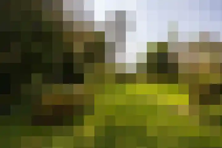 Polveensweg 15 Klarenbeek thumbnail 69