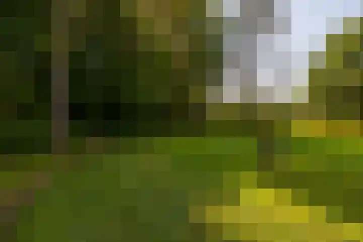 Polveensweg 15 Klarenbeek thumbnail 70