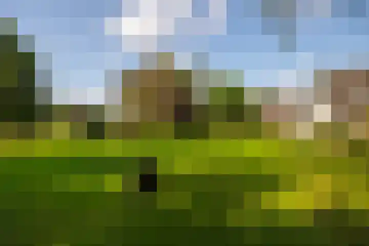 Polveensweg 15 Klarenbeek thumbnail 71