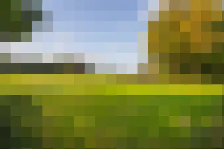 Polveensweg 15 Klarenbeek thumbnail 72