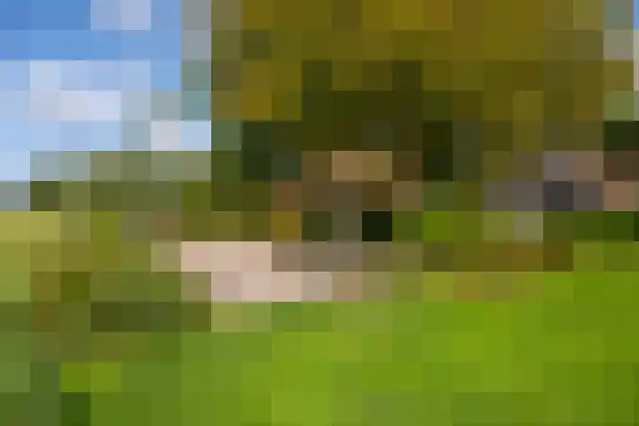Polveensweg 15 Klarenbeek thumbnail 73