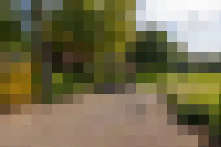 Polveensweg 15 Klarenbeek thumbnail 74