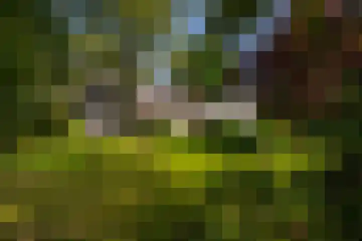 Polveensweg 15 Klarenbeek thumbnail 75