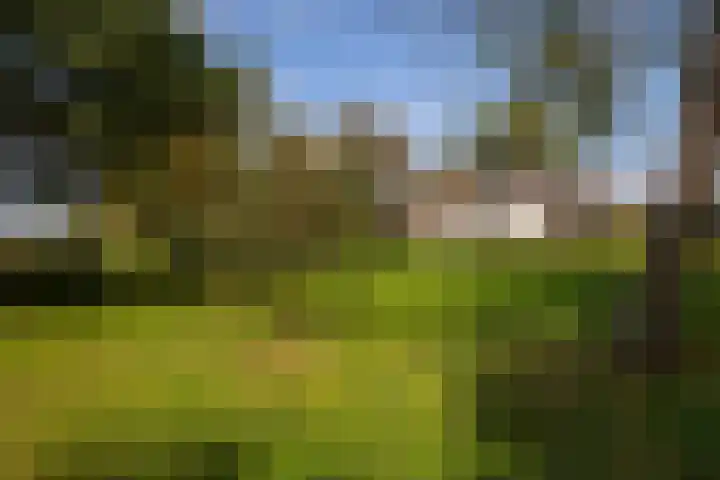 Polveensweg 15 Klarenbeek thumbnail 76